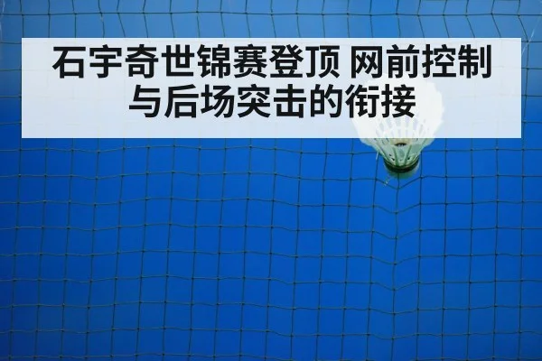 badminton net shot